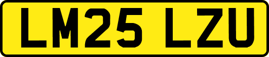 LM25LZU