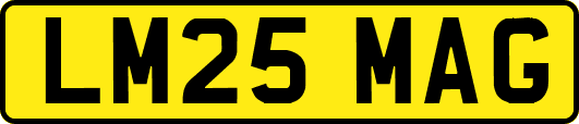 LM25MAG
