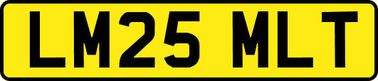 LM25MLT