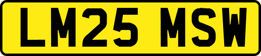 LM25MSW