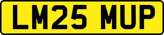 LM25MUP