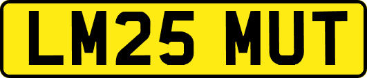 LM25MUT