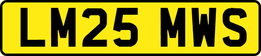 LM25MWS