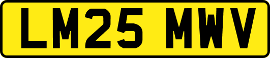 LM25MWV
