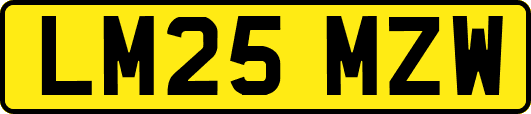 LM25MZW