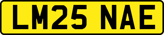 LM25NAE