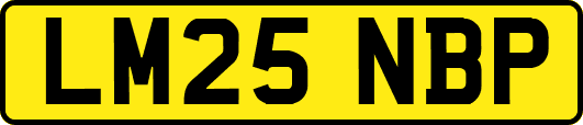 LM25NBP