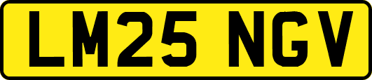 LM25NGV