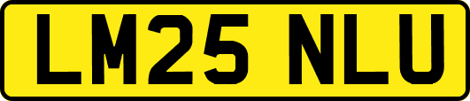 LM25NLU