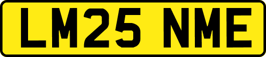 LM25NME