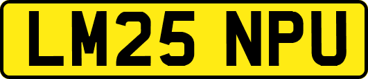 LM25NPU