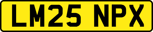 LM25NPX