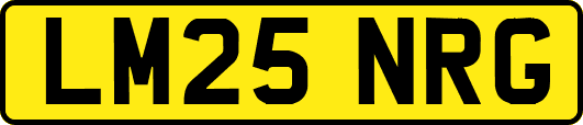 LM25NRG