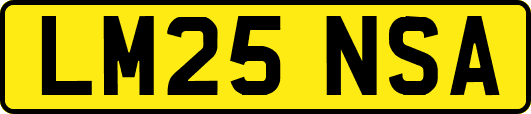 LM25NSA