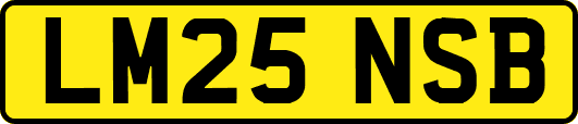 LM25NSB