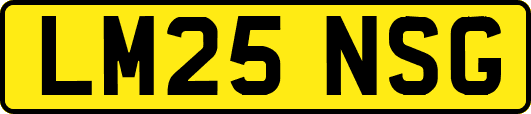 LM25NSG