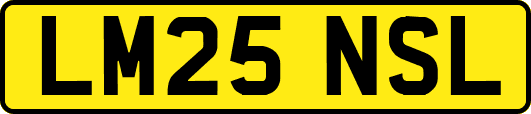 LM25NSL