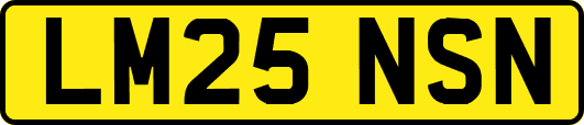 LM25NSN
