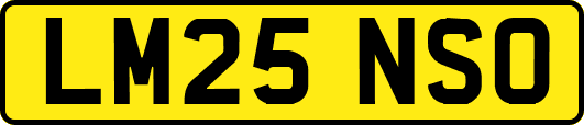 LM25NSO