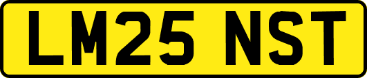LM25NST