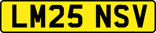 LM25NSV