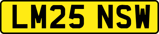 LM25NSW