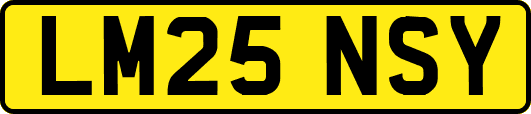 LM25NSY