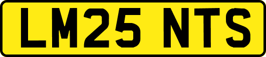 LM25NTS