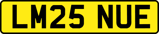 LM25NUE