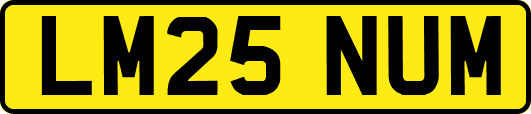 LM25NUM