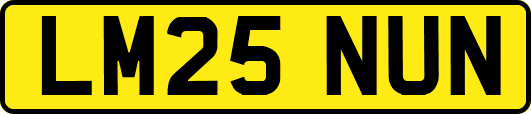 LM25NUN