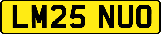 LM25NUO