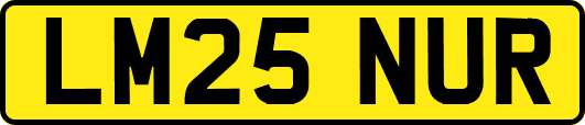 LM25NUR