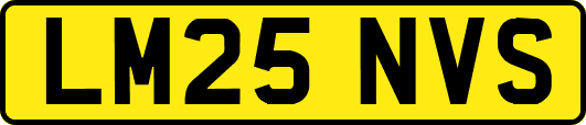 LM25NVS