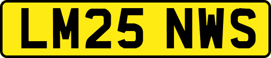 LM25NWS