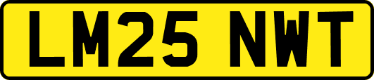 LM25NWT