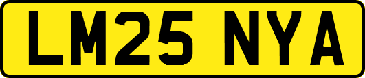 LM25NYA