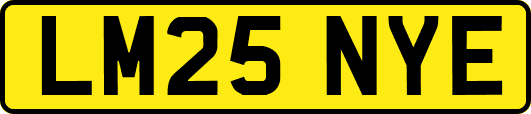 LM25NYE