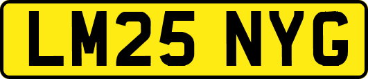LM25NYG