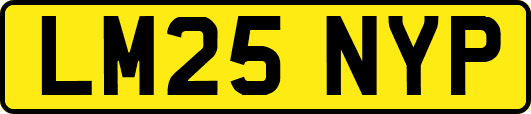 LM25NYP