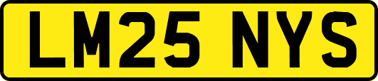 LM25NYS