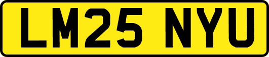 LM25NYU
