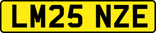 LM25NZE