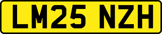 LM25NZH