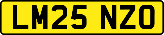 LM25NZO