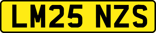 LM25NZS