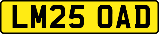 LM25OAD