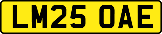 LM25OAE