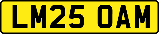 LM25OAM