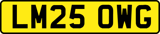 LM25OWG